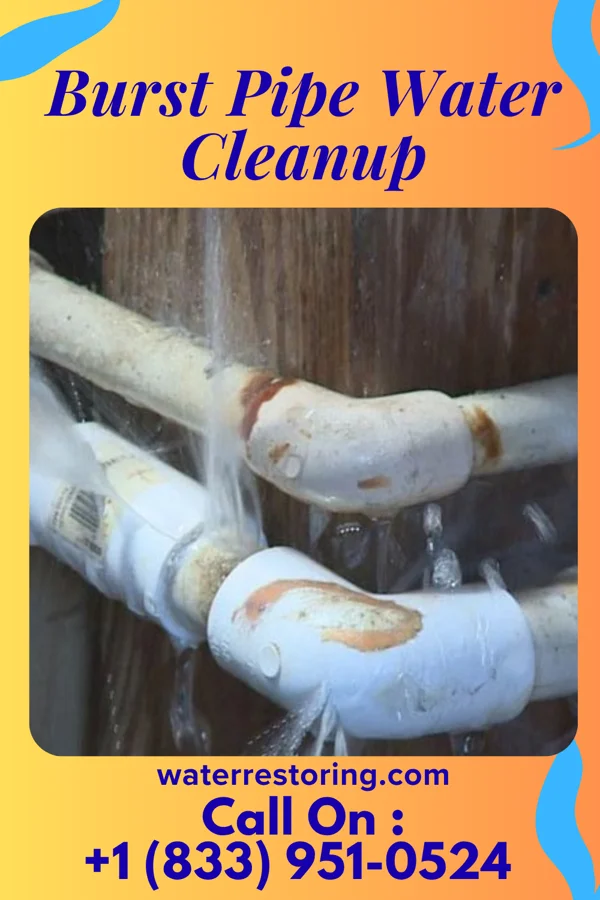 Burst Pipe Water Cleanup in Washington, IN