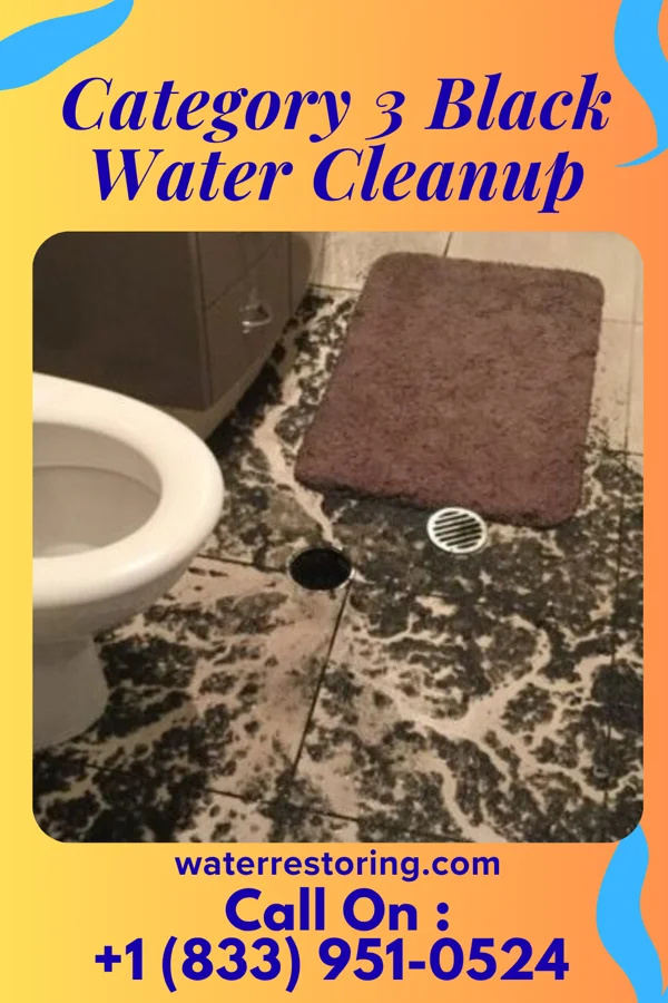 Category 3 Black Water Cleanup in Washington, IN