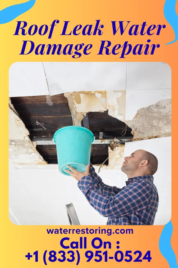 Roof Leak Water Damage Repair in Washington, IN
